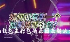 Tokenim钱包未打包的原因及解决方案详
