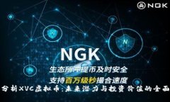 深入分析XVC虚拟币：未来潜力与投资价