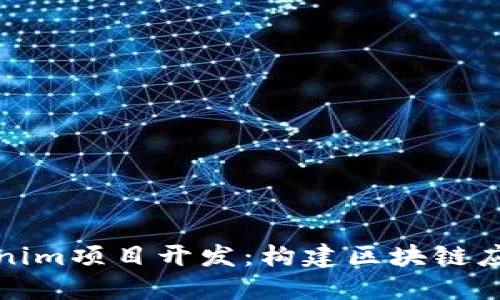深入探讨Tokenim项目开发:构建区块链应用的未来之路