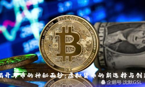 揭开布币的神秘面纱:虚拟货币的新选择与创新