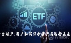 虚拟币平台破产：用户如何保护资产与