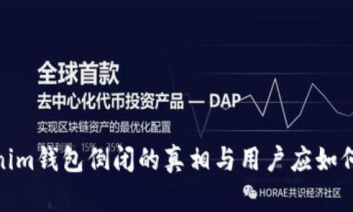 Tokenim钱包倒闭的真相与用户应如何应对