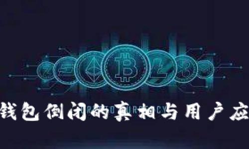 Tokenim钱包倒闭的真相与用户应如何应对