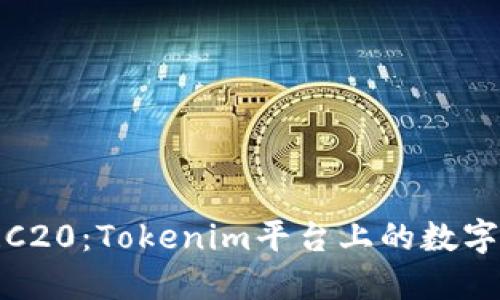 深入了解TRC20：Tokenim平台上的数字资产新机遇