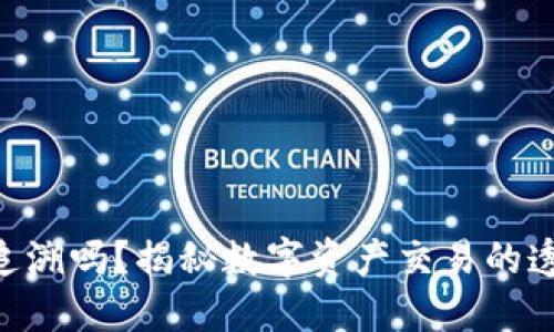 Tokenim转账能追溯吗?揭秘数字资产交易的透明性与隐私保护