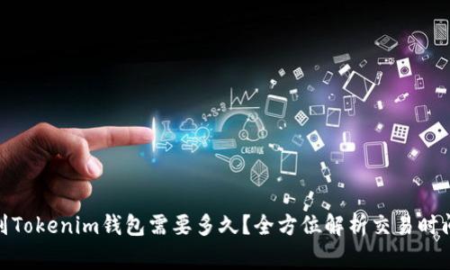 从Bitz提币到Tokenim钱包需要多久？全方位解析交易时间与注意事项