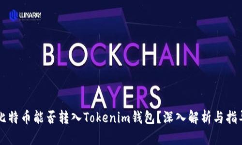 比特币能否转入Tokenim钱包？深入解析与指导