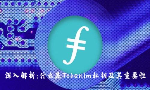 深入解析：什么是Tokenim私钥及其重要性