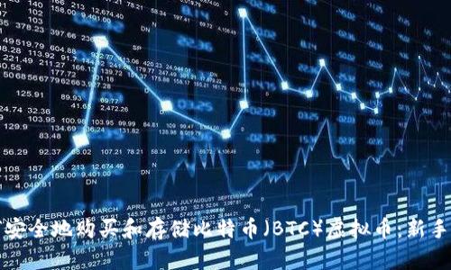 如何安全地购买和存储比特币（BTC）虚拟币：新手指南