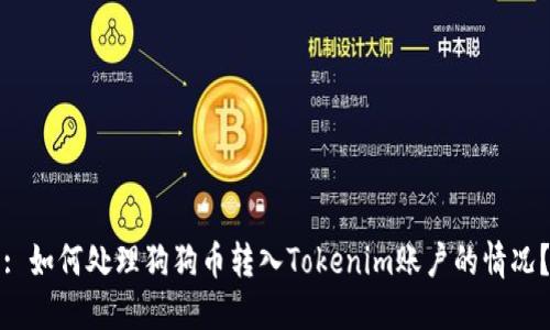 : 如何处理狗狗币转入Tokenim账户的情况？