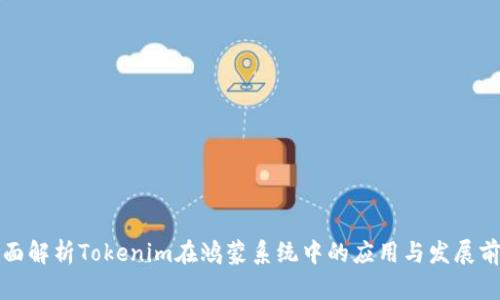 全面解析Tokenim在鸿蒙系统中的应用与发展前景