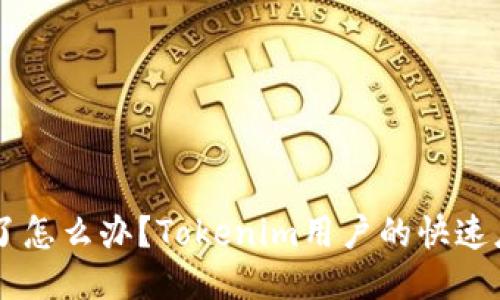 手机丢了怎么办？Tokenim用户的快速应对指南