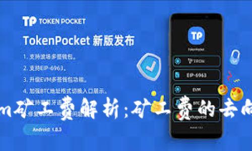 Tokenim矿工费解析：矿工费的去向和作用